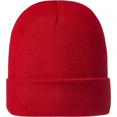 Logotrade promotional merchandise picture of: Irwin beanie