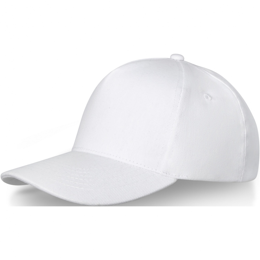 Logotrade corporate gift picture of: Doyle 5 panel cap