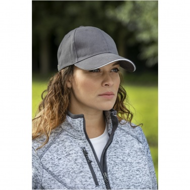 Logo trade promotional merchandise picture of: Darton 6 panel sandwich cap