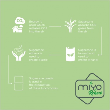Logotrade promotional merchandise image of: MIYO Renew double layer lunch box