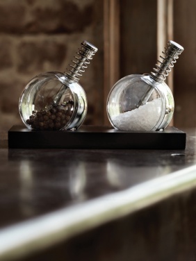 Logotrade promotional giveaways photo of: Planet pepper & salt set