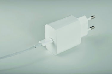 Logotrade promotional merchandise picture of: 20W 2 port USB charger EU plug