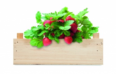 Logo trade corporate gift photo of: Strawberry kit in wooden crate