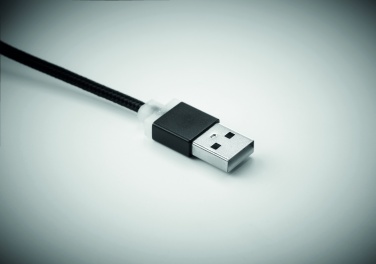 Logotrade promotional merchandise image of: key ring with USB type C cable Salaspils