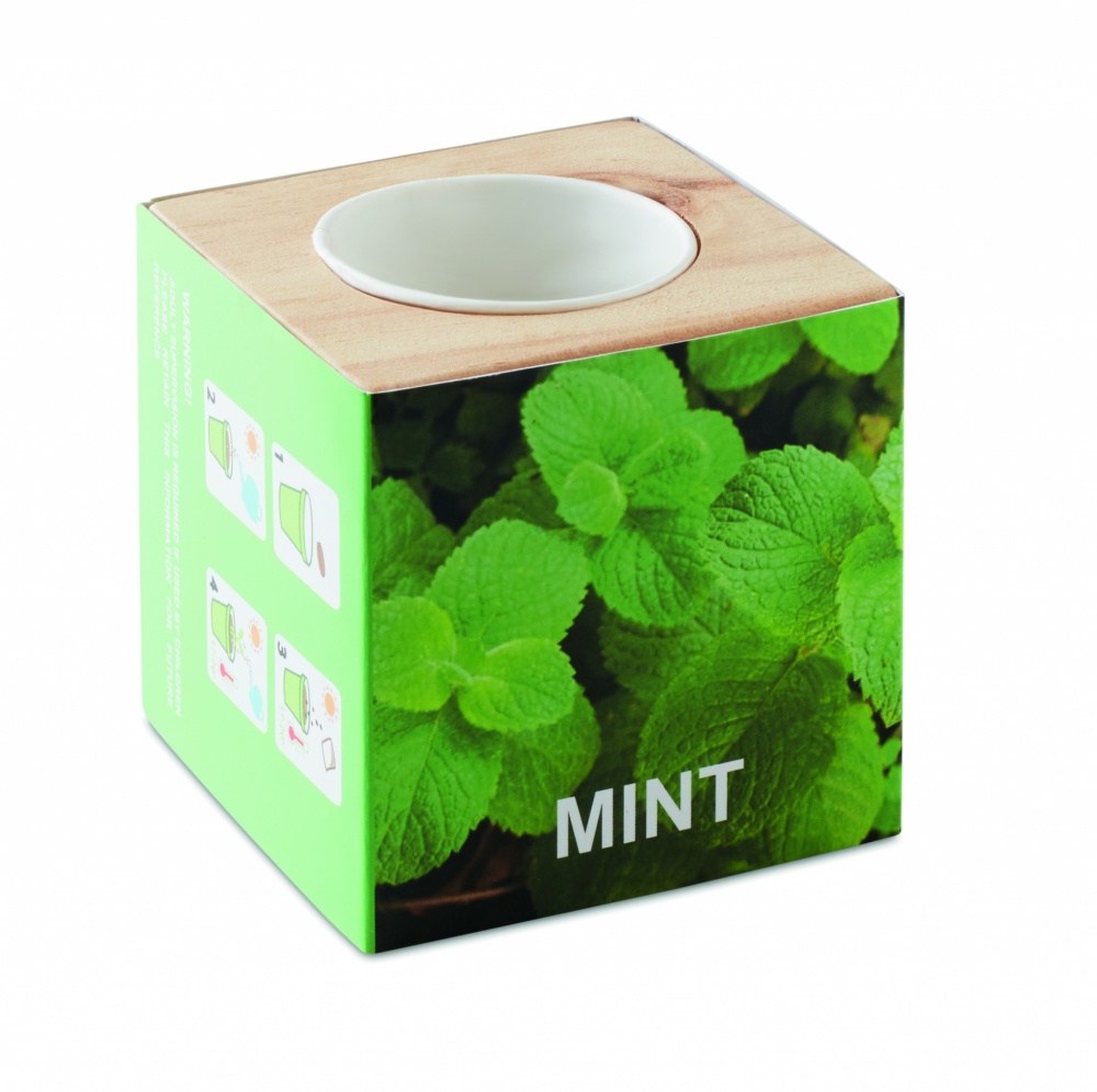 Logotrade promotional merchandise photo of: Herb pot wood "MINT"
