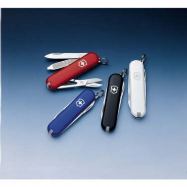 Logo trade promotional giveaway photo of: Pocket knife Rally Victorinox