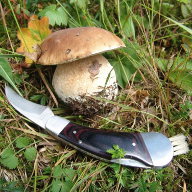 Logo trade promotional products picture of: Mushroom knife PILZ Schwarzwolf