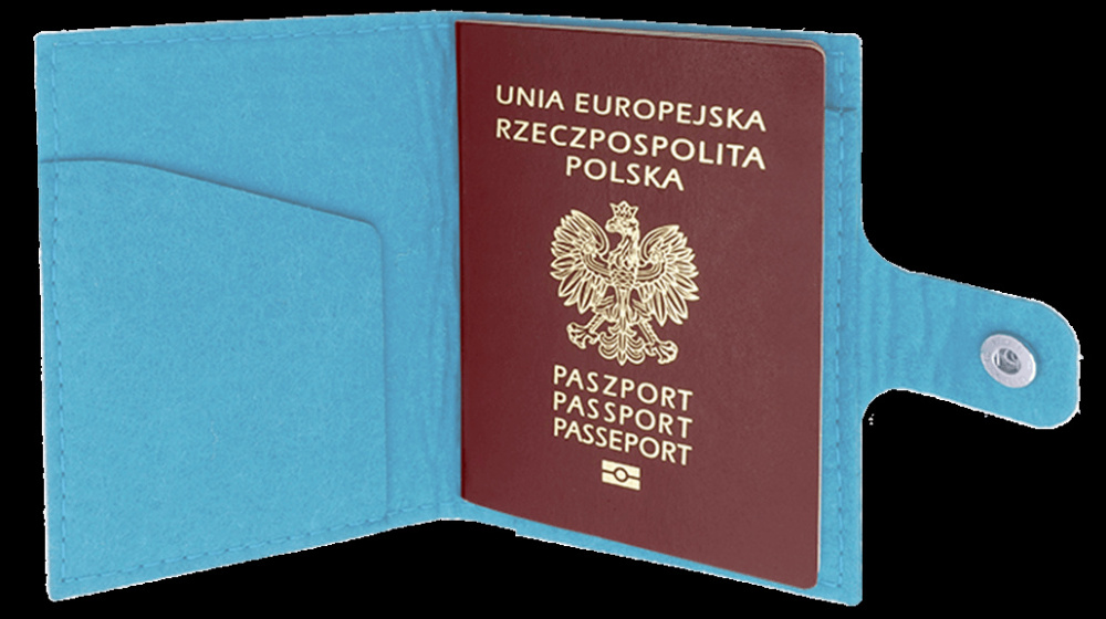 Logo trade promotional gifts image of: Passport case 84106200