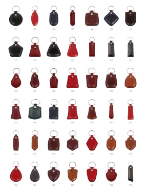 Logotrade promotional gift picture of: Keyring 178011