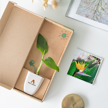 Logotrade promotional merchandise image of: Treemore Letterbox Trees Bird of Paradise plant