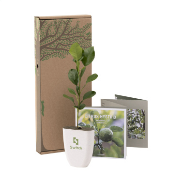 Logotrade promotional item image of: Treemore Letterbox Trees Kaffir Lemon