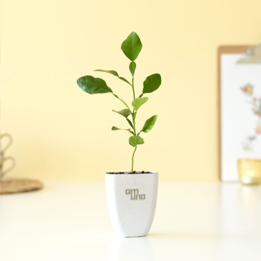 Logo trade corporate gifts picture of: Treemore Letterbox Trees Kaffir Lemon