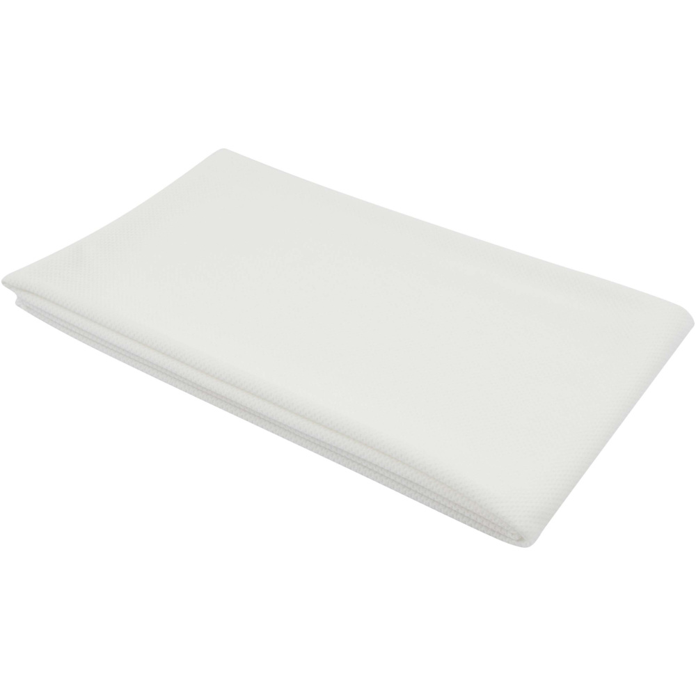 Logotrade promotional merchandise picture of: Althea sport towel 70x140 cm