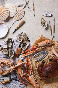 Logotrade promotional merchandise picture of: VINGA Story of seafood