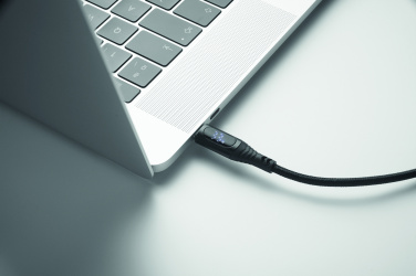 Logotrade promotional giveaway image of: 100W charging cable type-C