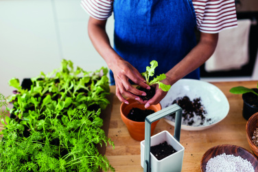 Logotrade promotional merchandise photo of: Indoor garden with LED light