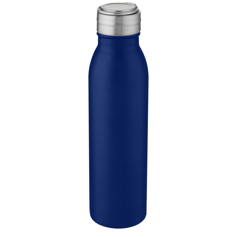 Logotrade reklaamkingituse foto: Harper 700 ml roostevabast terasest veepudel metallist aasaga
