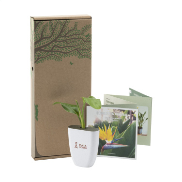 Logotrade firmakingitused pilt: Treemore Letterbox Trees Paradiisilinnu taim