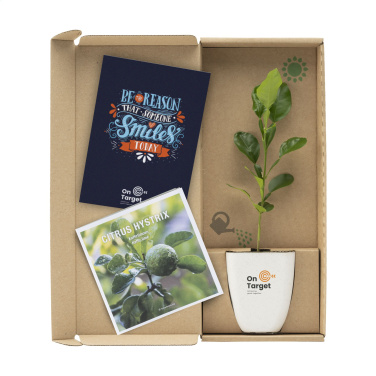 Logo trade reklaamtoote pilt: Treemore Letterbox Trees Kaffir Lemon