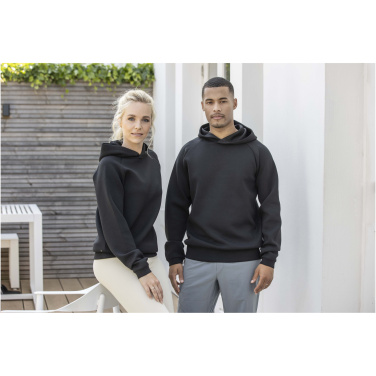 Logo trade ärikingi pilt: Danali unisex dressipluus kapuutsiga