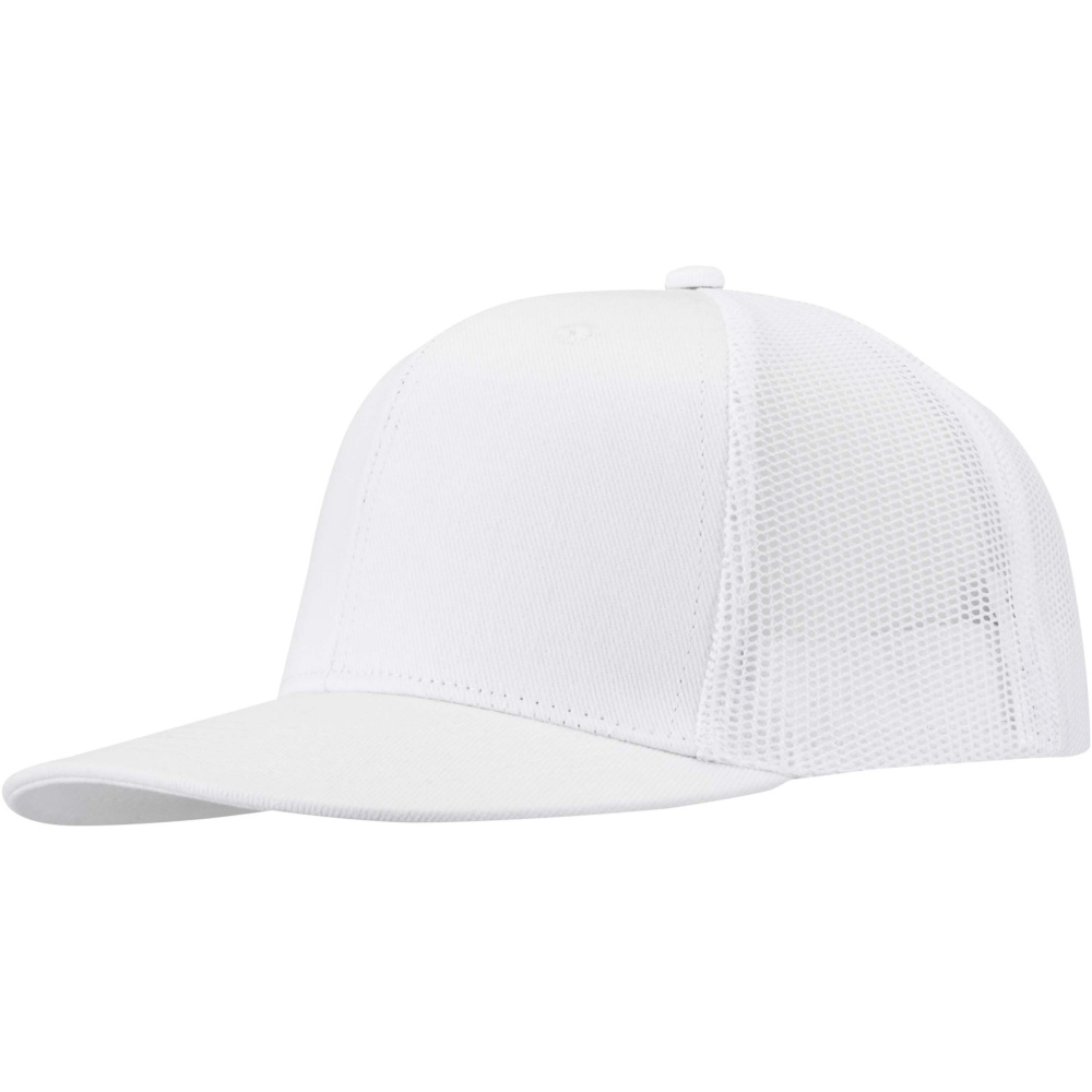 Logo trade reklaamkingitused foto: Drift Snapback 260 g/m2 6 paneeliga nokamüts