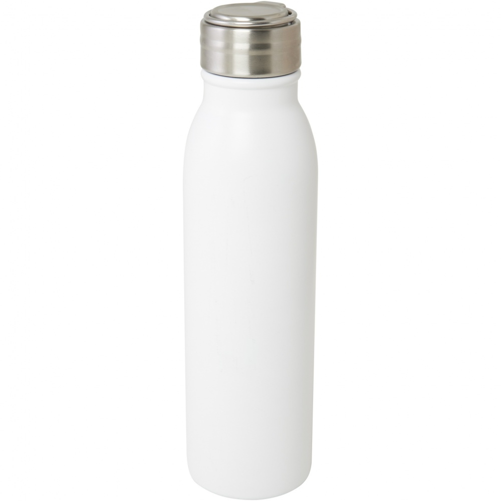Logo trade mainostuotet tuotekuva: Harper 700 ml:n RCS-sertifioidusta ruostumattomasta teräksestä valmistettu vesipullo metallisilmukalla