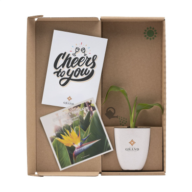 Logotrade liikelahjat mainoslahjat tuotekuva: Treemore Letterbox Trees Bird of Paradise -kasvi