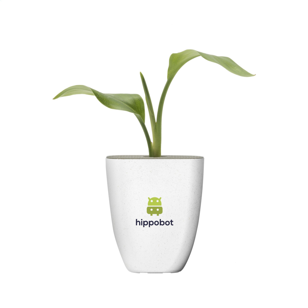 Логотрейд pекламные продукты картинка: Treemore Letterbox Trees Растение Bird of Paradise