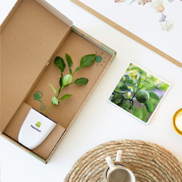 Logotrade kampanjprodukter bild: Treemore Letterbox Träd Kaffir Lemon